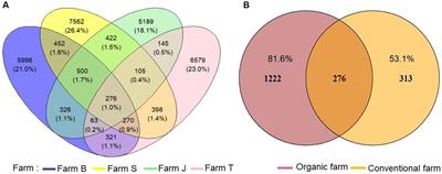 Soil nutrient management influences diversity, community association and functional structure of rhizosphere bacteriome under vegetable crop production